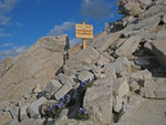 Trail Crest