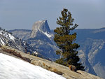Half Dome, First Marmot of the Year