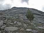 Yosemite052809-1919.jpg